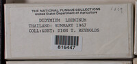 Image Associated With the Occurence